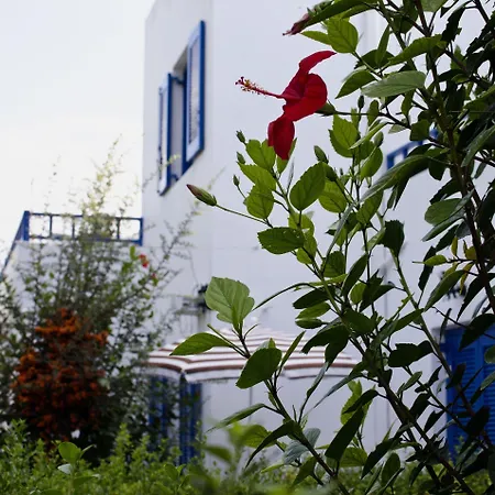 Sirius Apart Otel 4*