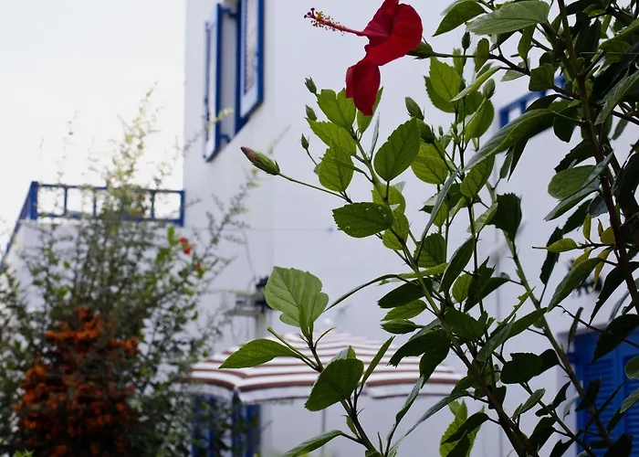 Sirius מלון דירות 4*